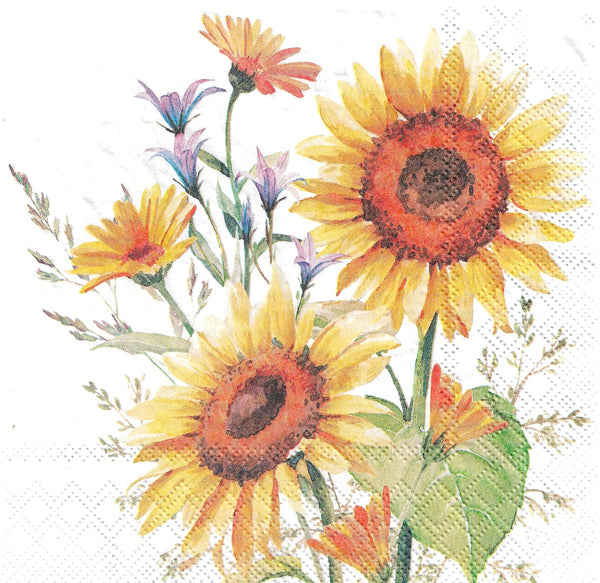 Sunflower Bounty Napkin Set