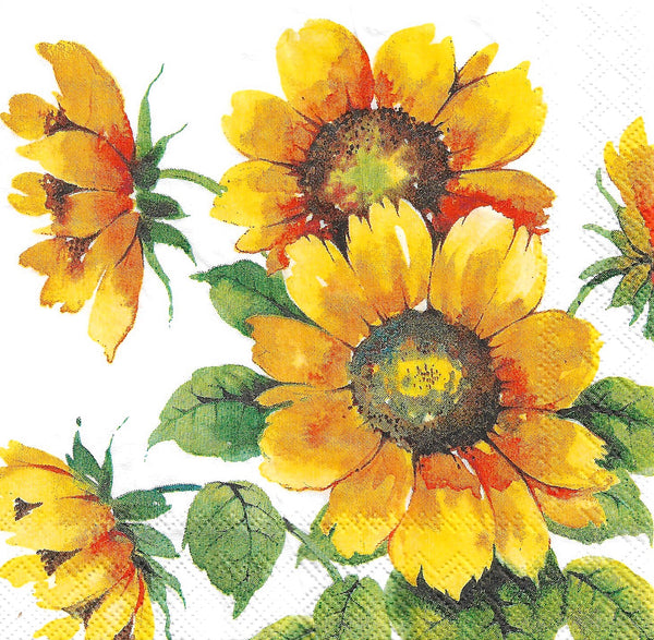 Sunflowers Napkin Set - Cocktail