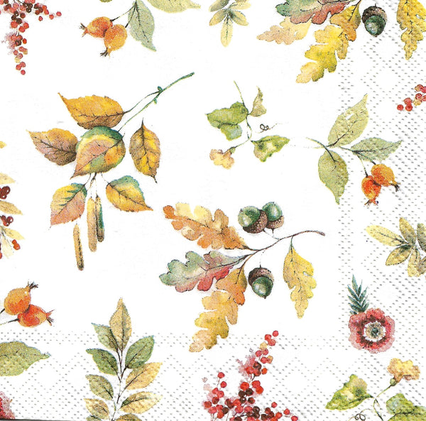 Falling Acorns and Leaves Napkin Set - Cocktail