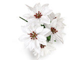 10" Poinsettia Bush, 5 Blooms.  Red, White or Burgundy