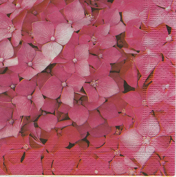 Pink Hydrangea Napkin Set