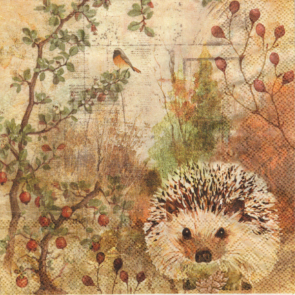 Autumn Hedgehog Napkin Set - Lunch