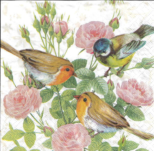 Birds and Roses Napkin Set