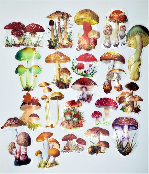 Mushrooms and Toadstools Stickers