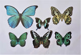 Butterfly Die Cut Embellshments with Foil, Blue/Green
