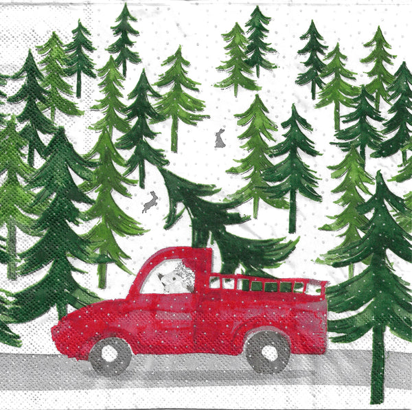 Red Truck and Bunnies Napkin Set