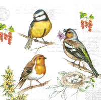 Birds on Twig Napkin Set - Lunch