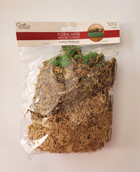 Dried Naturals - Moss Variety Pack