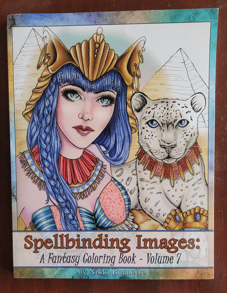 Spellbinding Image: A Fantasy Coloring Book Volume 7 Adult Colouring Book