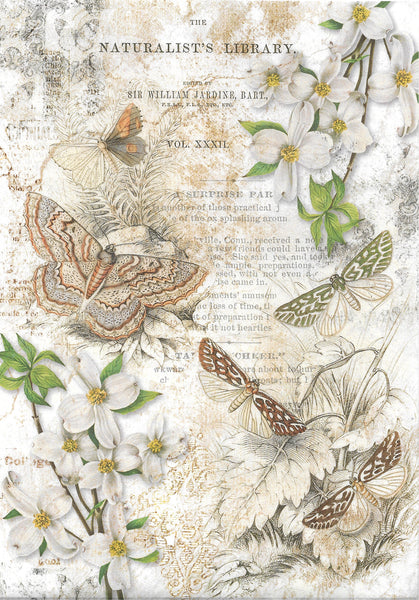 Naturalist Library Decoupage Paper by Decoupage Queen