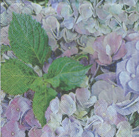 Blue Purple Hydrangea Napkin Set - Lunch