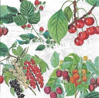 Berries and Fruit Napkin Set - Lunch