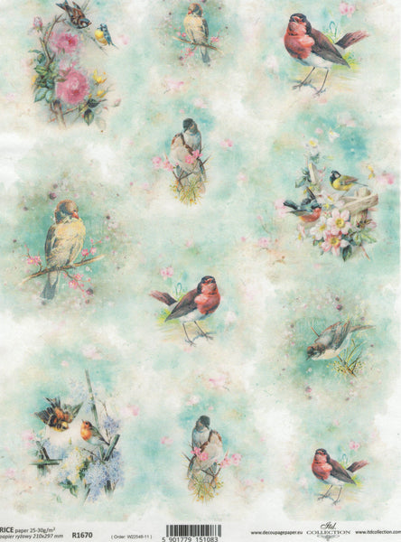 Feathered Friends Rice Paper