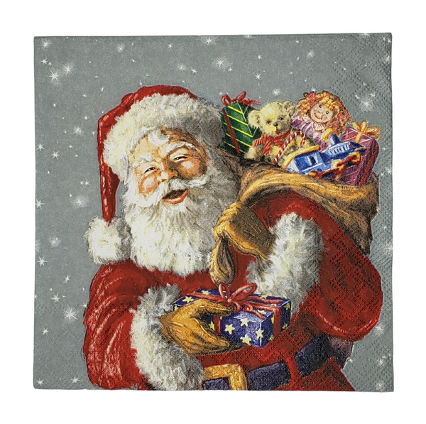 A Gift For You From Santa Napkin Set - Lunch